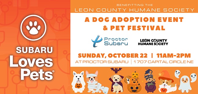 Subaru Loves Pets Pet Adoption Event and Festival